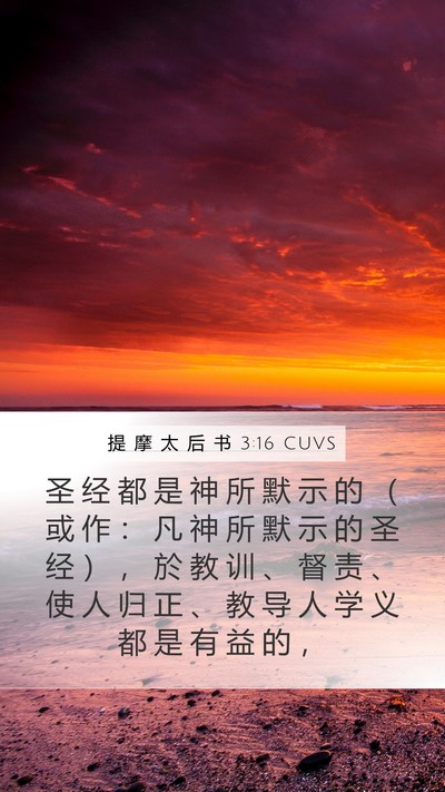 提 摩 太 后 书 3:16 CUVS Bible Verse Image