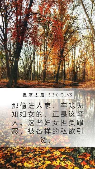 提 摩 太 后 书 3:6 CUVS Mobile Phone Wallpaper - 那 偷 进 人 家 、 牢 笼 无 知 妇 女 - Mobile Bible Verse Wallpaper