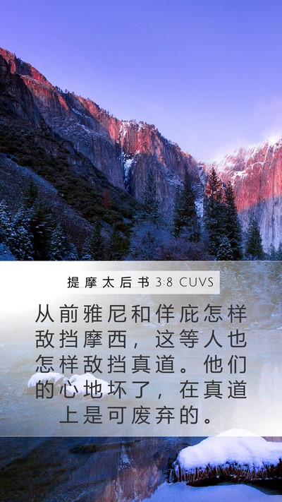 提 摩 太 后 书 3:8 CUVS Bible Verse Image