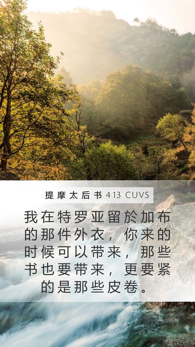 提 摩 太 后 书 4:13 CUVS Bible Verse Image