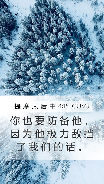 提 摩 太 后 书 4:15 CUVS Bible Verse Image
