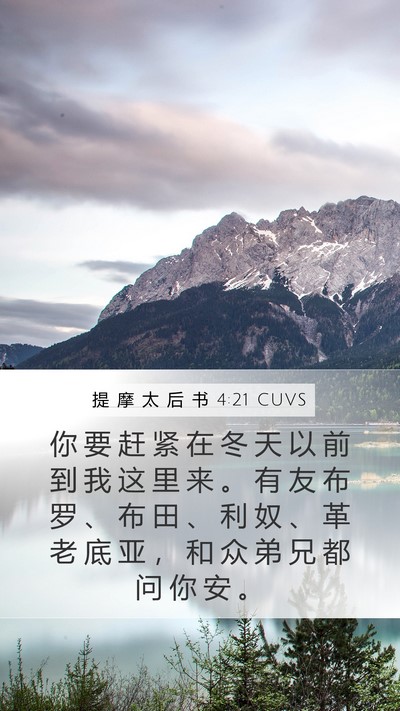 提 摩 太 后 书 4:21 CUVS Bible Verse Image