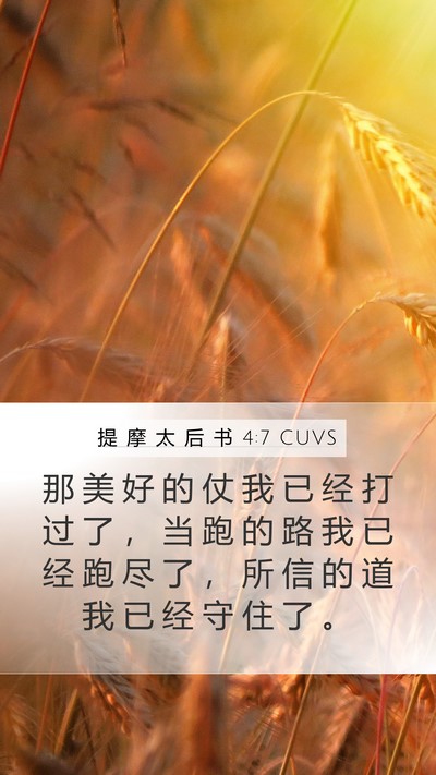 提 摩 太 后 书 4:7 CUVS Bible Verse Image