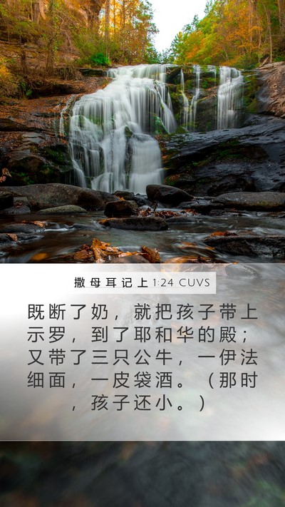 撒 母 耳 记 上 1:24 CUVS Bible Verse Image