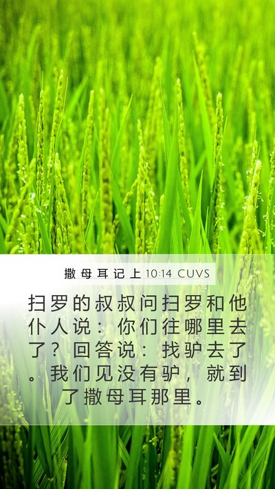 撒 母 耳 记 上 10:14 CUVS Mobile Phone Wallpaper - 扫 罗 的 叔 叔 问 扫 罗 和 他 仆 人 - Mobile Bible Verse Wallpaper