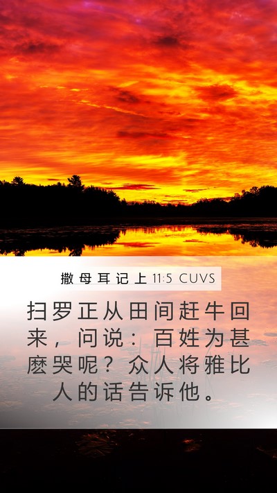 撒 母 耳 记 上 11:5 CUVS Mobile Phone Wallpaper - 扫 罗 正 从 田 间 赶 牛 回 来 ， 问 - Mobile Bible Verse Wallpaper