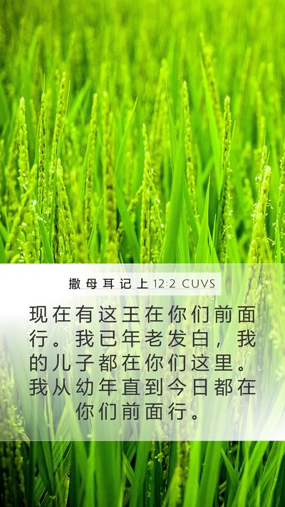 撒 母 耳 记 上 12:2 CUVS Mobile Phone Wallpaper - 现 在 有 这 王 在 你 们 前 面 行 。 - Mobile Bible Verse Wallpaper
