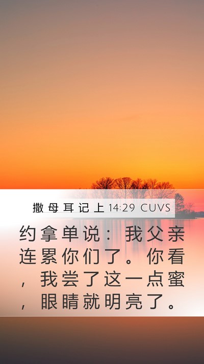 撒 母 耳 记 上 14:29 CUVS Bible Verse Image