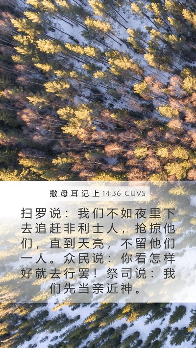 撒 母 耳 记 上 14:36 CUVS Bible Verse Image
