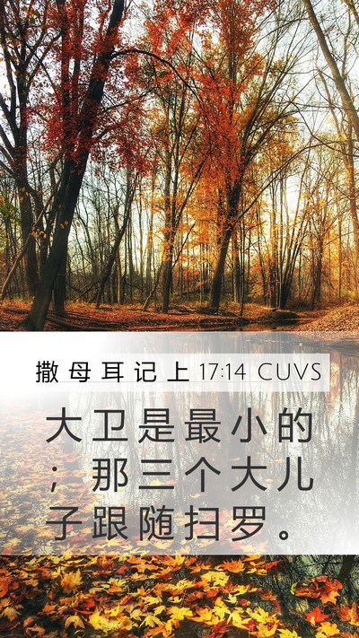 撒 母 耳 记 上 17:14 CUVS Mobile Phone Wallpaper - 大 卫 是 最 小 的 ； 那 三 个 大 儿 - Mobile Bible Verse Wallpaper