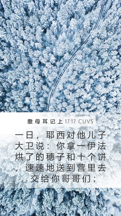 撒 母 耳 记 上 17:17 CUVS Bible Verse Image