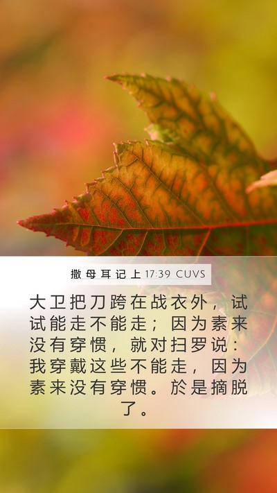 撒 母 耳 记 上 17:39 CUVS Mobile Phone Wallpaper - 大 卫 把 刀 跨 在 战 衣 外 ， 试 试 - Mobile Bible Verse Wallpaper