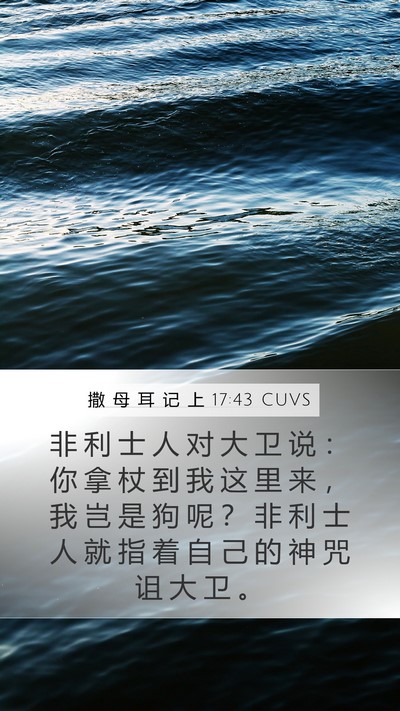 撒 母 耳 记 上 17:43 CUVS Bible Verse Image