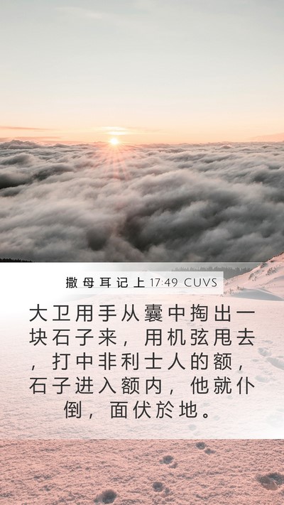 撒 母 耳 记 上 17:49 CUVS Bible Verse Image