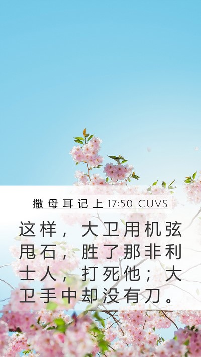 撒 母 耳 记 上 17:50 CUVS Bible Verse Image