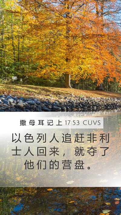 撒 母 耳 记 上 17:53 CUVS Bible Verse Image