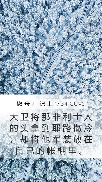 撒 母 耳 记 上 17:54 CUVS Bible Verse Image