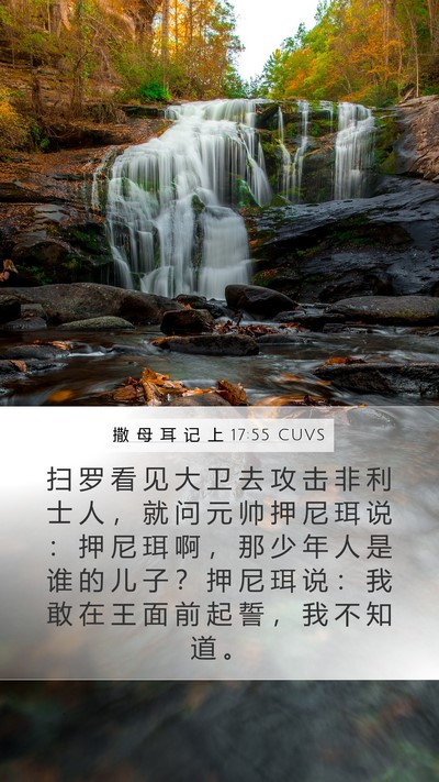 撒 母 耳 记 上 17:55 CUVS Bible Verse Image