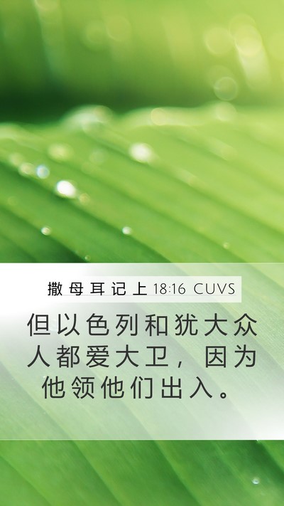 撒 母 耳 记 上 18:16 CUVS Mobile Phone Wallpaper - 但 以 色 列 和 犹 大 众 人 都 爱 大 - Mobile Bible Verse Wallpaper