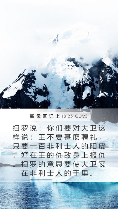 撒 母 耳 记 上 18:25 CUVS Bible Verse Image