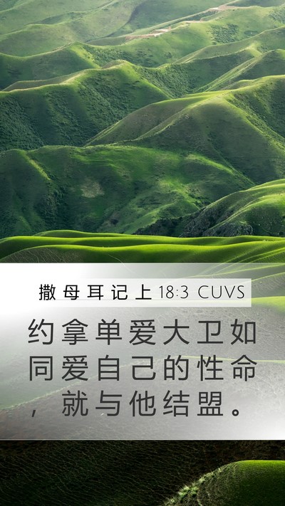 撒 母 耳 记 上 18:3 CUVS Bible Verse Image