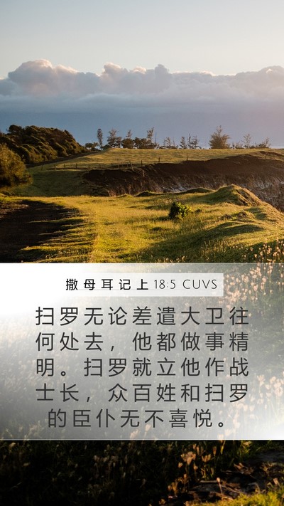 撒 母 耳 记 上 18:5 CUVS Bible Verse Image