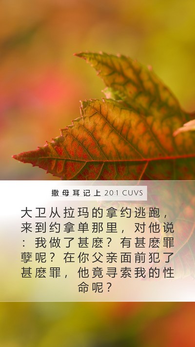 撒 母 耳 记 上 20:1 CUVS Bible Verse Image