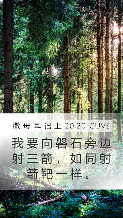 撒 母 耳 记 上 20:20 CUVS Mobile Phone Wallpaper - 我 要 向 磐 石 旁 边 射 三 箭 ， 如 - Mobile Bible Verse Wallpaper