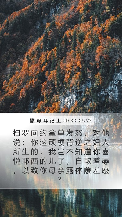 撒 母 耳 记 上 20:30 CUVS Bible Verse Image