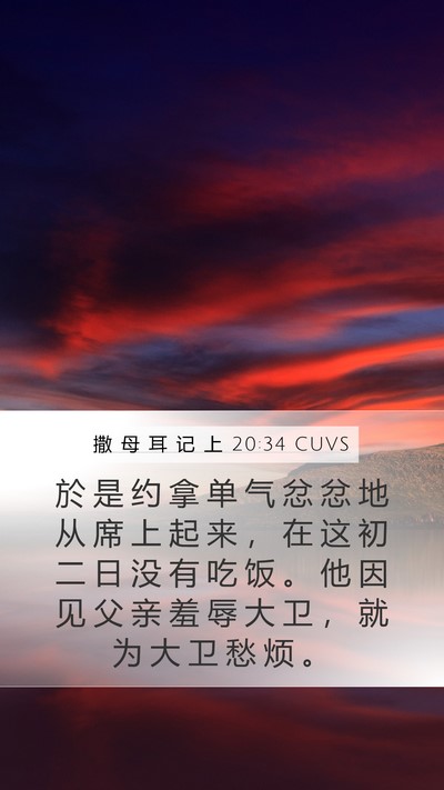 撒 母 耳 记 上 20:34 CUVS Mobile Phone Wallpaper - 於 是 约 拿 单 气 忿 忿 地 从 席 上 - Mobile Bible Verse Wallpaper