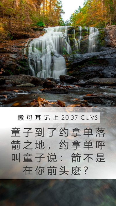 撒 母 耳 记 上 20:37 CUVS Bible Verse Image