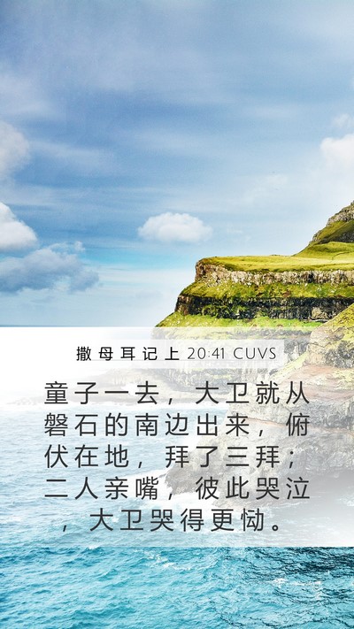 撒 母 耳 记 上 20:41 CUVS Bible Verse Image