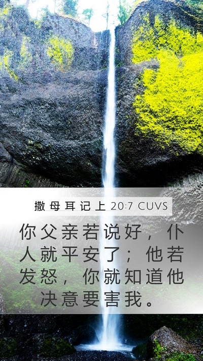 撒 母 耳 记 上 20:7 CUVS Bible Verse Image