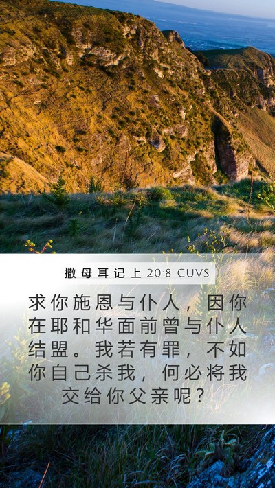 撒 母 耳 记 上 20:8 CUVS Bible Verse Image