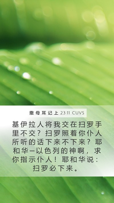 撒 母 耳 记 上 23:11 CUVS Bible Verse Image