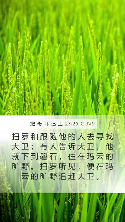 撒 母 耳 记 上 23:25 CUVS Bible Verse Image