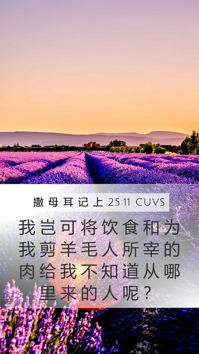撒 母 耳 记 上 25:11 CUVS Bible Verse Image