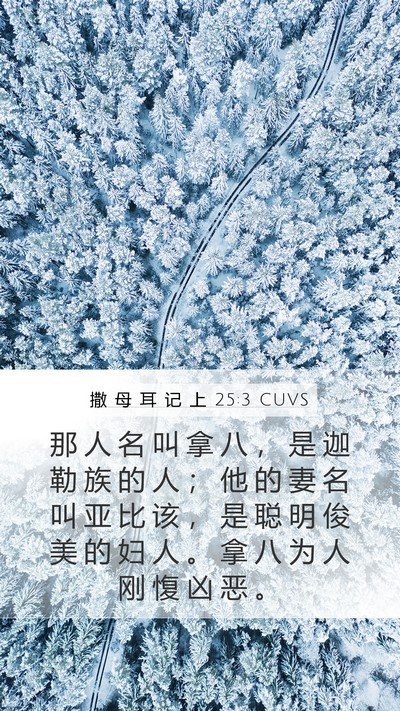 撒 母 耳 记 上 25:3 CUVS Bible Verse Image
