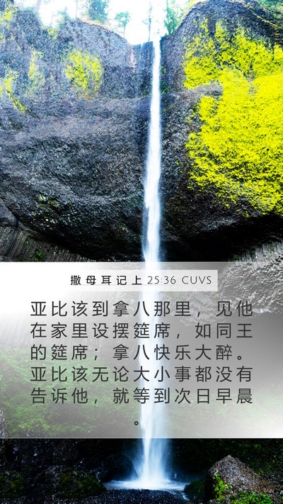 撒 母 耳 记 上 25:36 CUVS Bible Verse Image