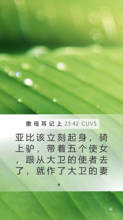 撒 母 耳 记 上 25:42 CUVS Bible Verse Image