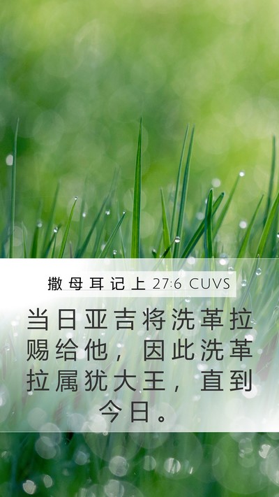 撒 母 耳 记 上 27:6 CUVS Bible Verse Image