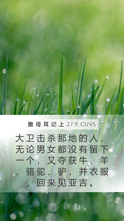 撒 母 耳 记 上 27:9 CUVS Bible Verse Image