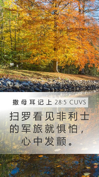 撒 母 耳 记 上 28:5 CUVS Mobile Phone Wallpaper - 扫 罗 看 见 非 利 士 的 军 旅 就 惧 - Mobile Bible Verse Wallpaper