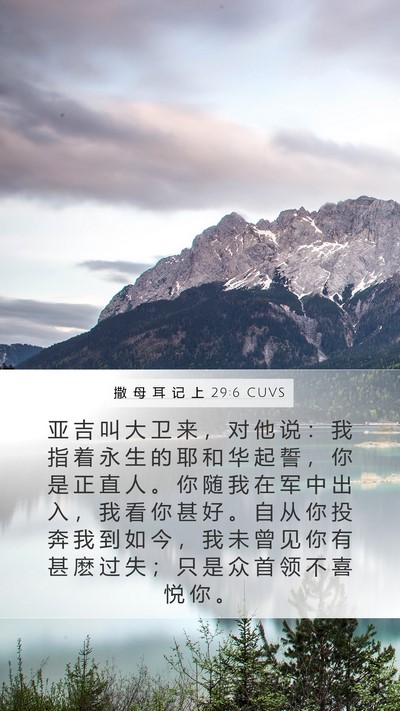 撒 母 耳 记 上 29:6 CUVS Bible Verse Image