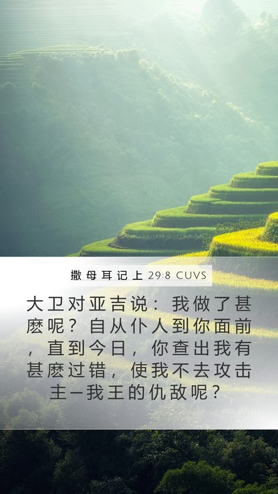 撒 母 耳 记 上 29:8 CUVS Mobile Phone Wallpaper - 大 卫 对 亚 吉 说 ： 我 做 了 甚 麽 - Mobile Bible Verse Wallpaper