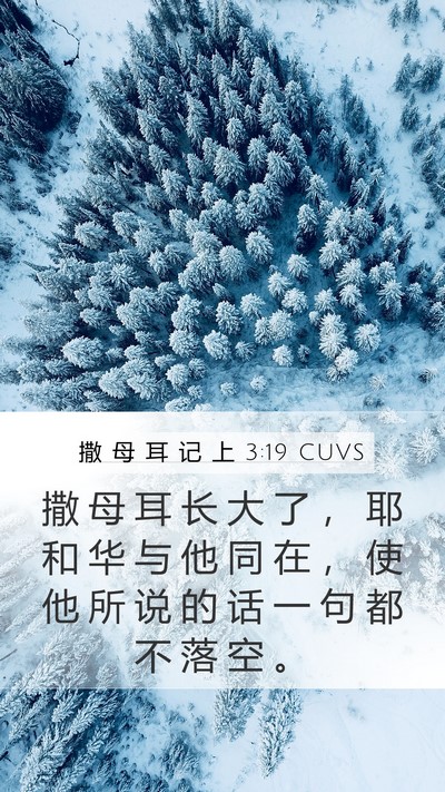 撒 母 耳 记 上 3:19 CUVS Bible Verse Image