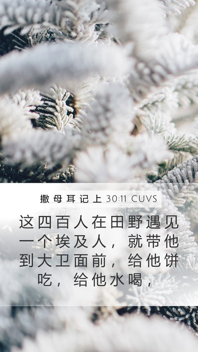 撒 母 耳 记 上 30:11 CUVS Bible Verse Image