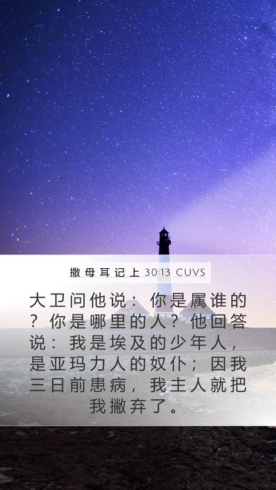 撒 母 耳 记 上 30:13 CUVS Bible Verse Image