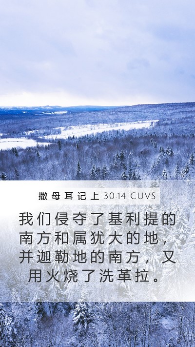 撒 母 耳 记 上 30:14 CUVS Bible Verse Image