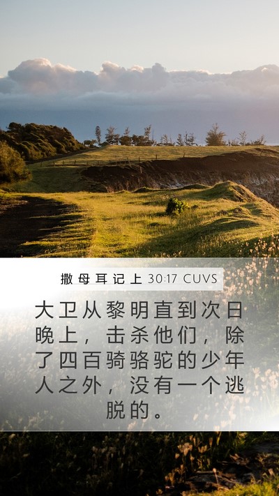 撒 母 耳 记 上 30:17 CUVS Bible Verse Image